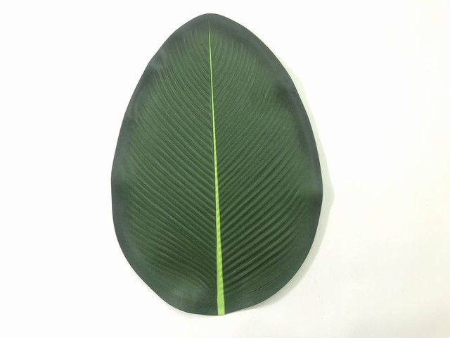 EVA EMBOSSED LEAF SHAPE PM